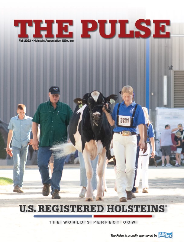 Holstein Pulse